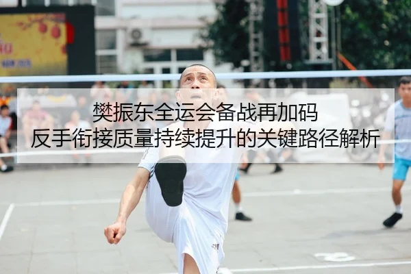 樊振东全运会备战再加码 反手衔接质量持续提升的关键路径解析